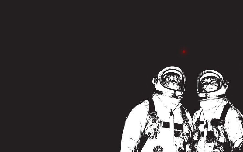 cats in space suits