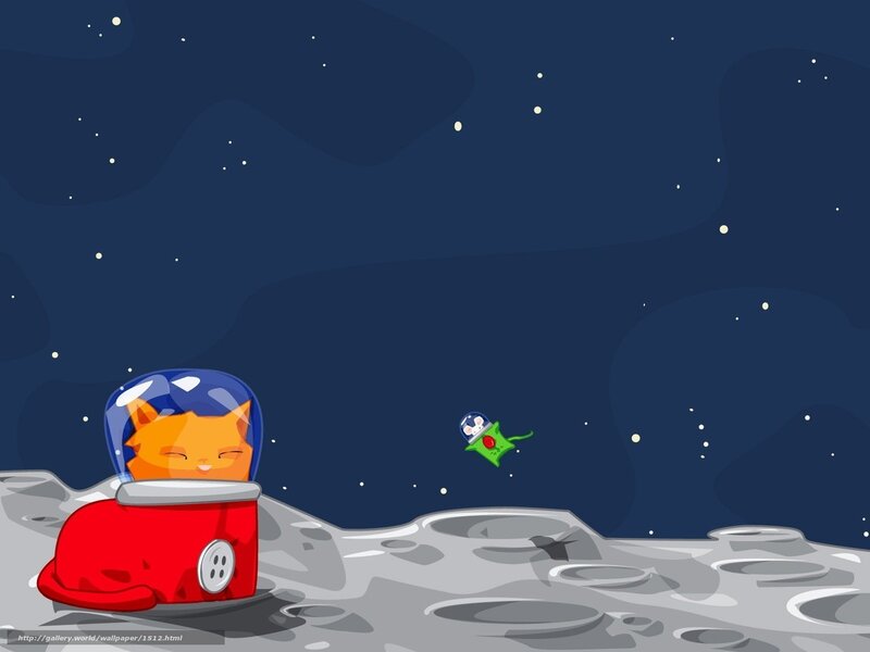 cats in space