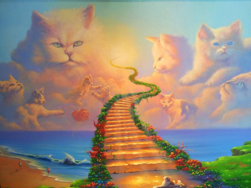 Cats in the Sky