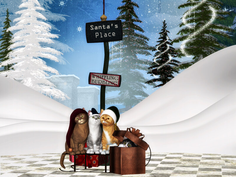 Cats in Winter Scene