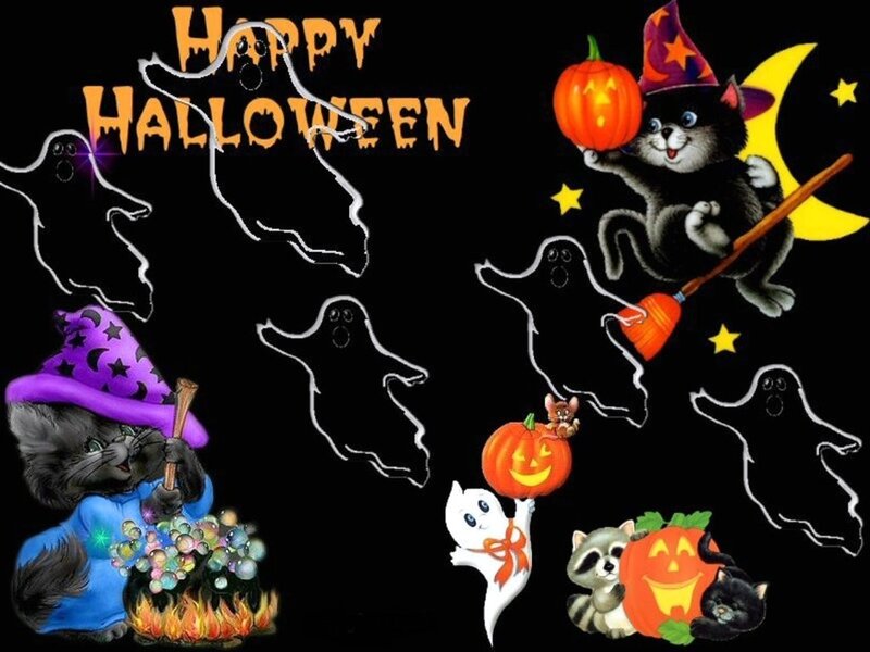 Cats in Witch Costumes