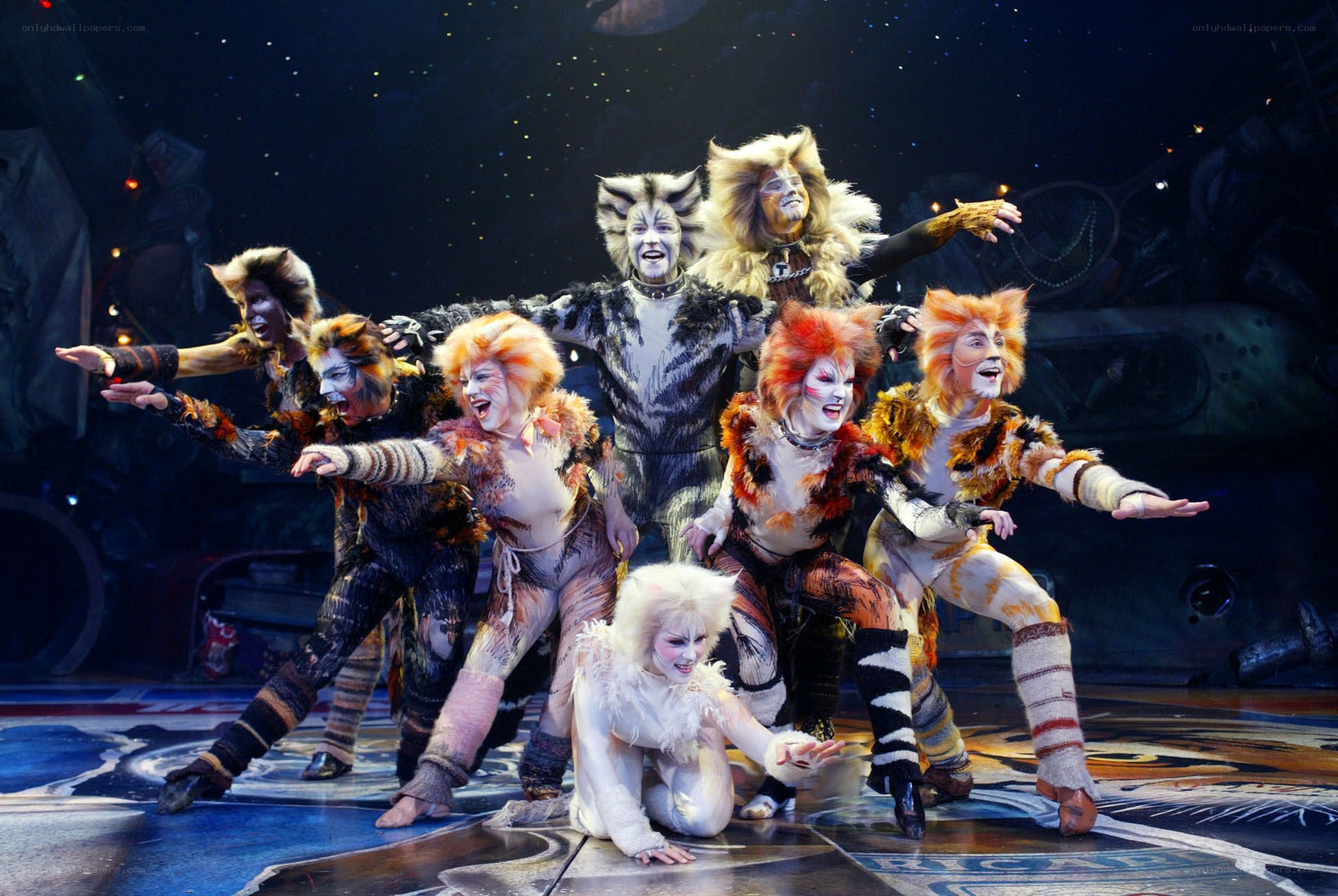 Cats musical cast performance