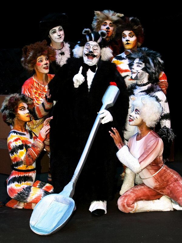 Cats musical cast photo