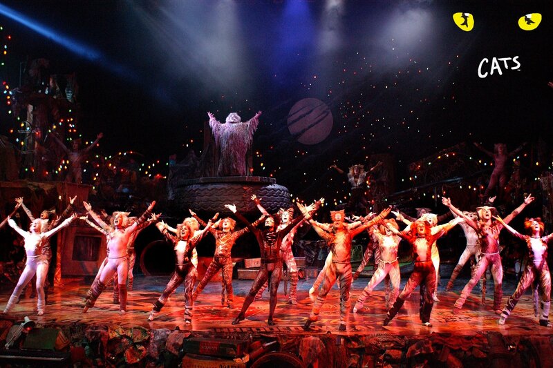Cats musical performance