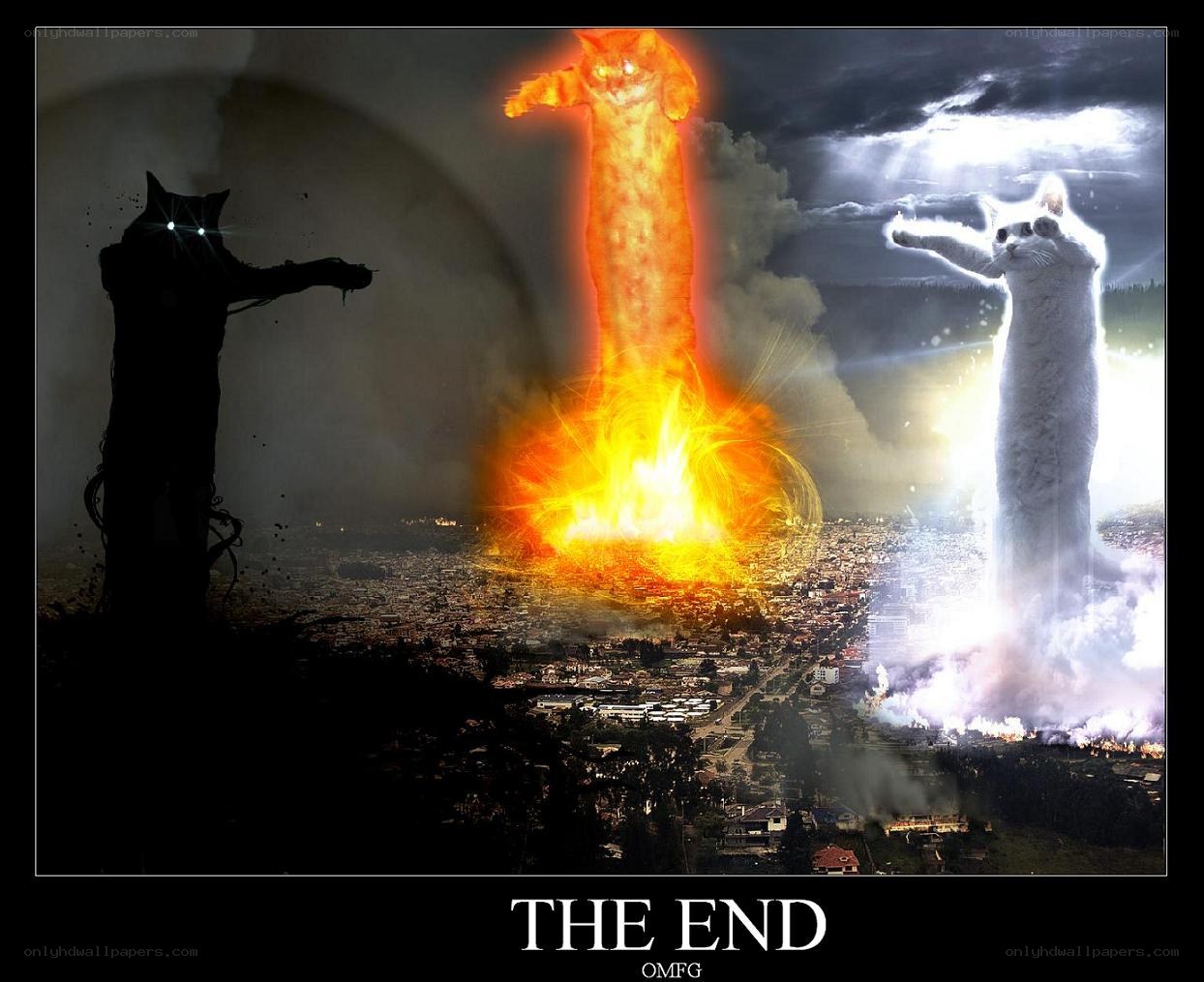 Cats of the Apocalypse