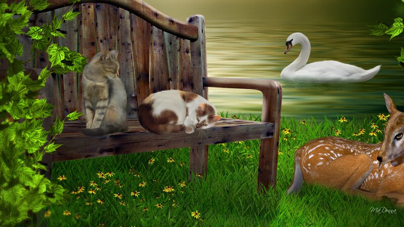 Cats on a Bench
