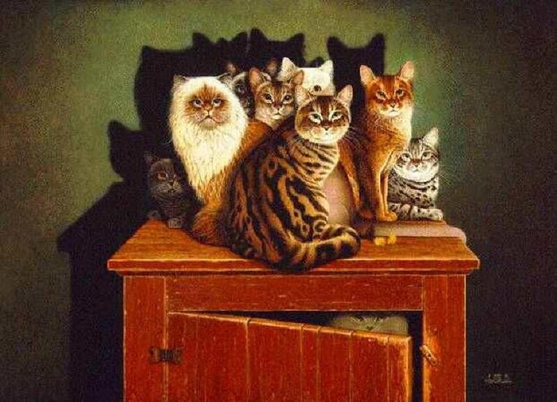 Cats on a Cabinet