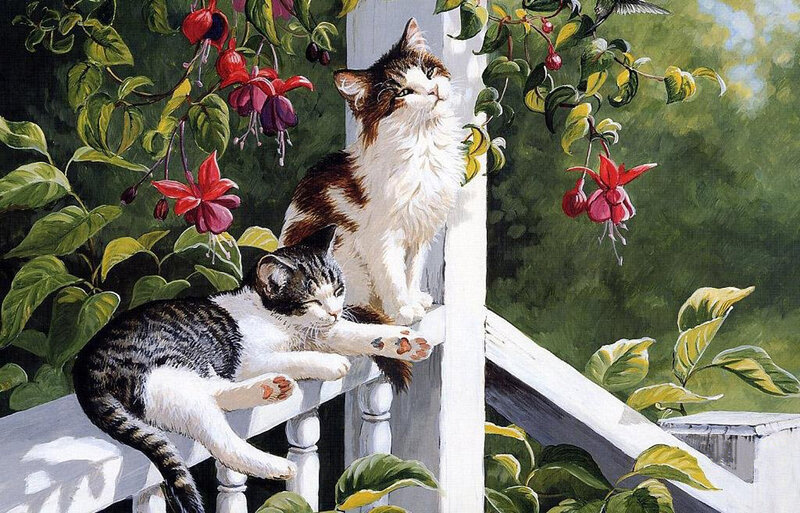 Cats on a garden porch