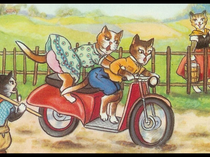 Cats on a Motorcycle