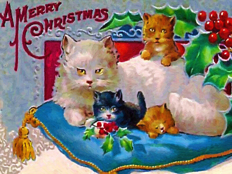 Cats on a Pillow — Blue