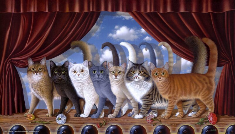 Cats on a stage
