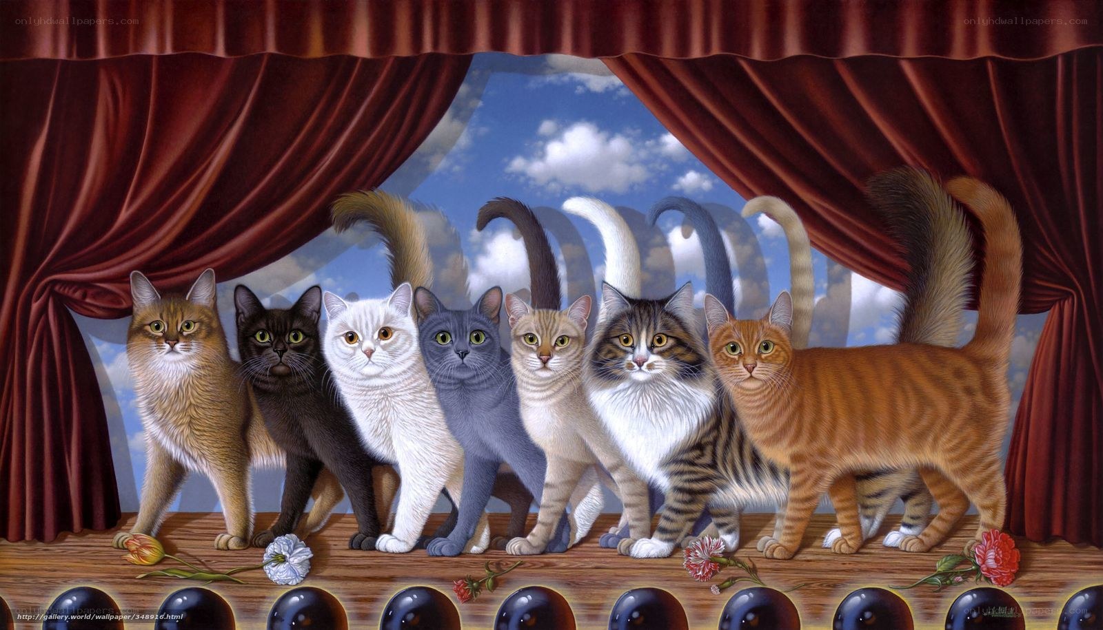 Cats on a stage