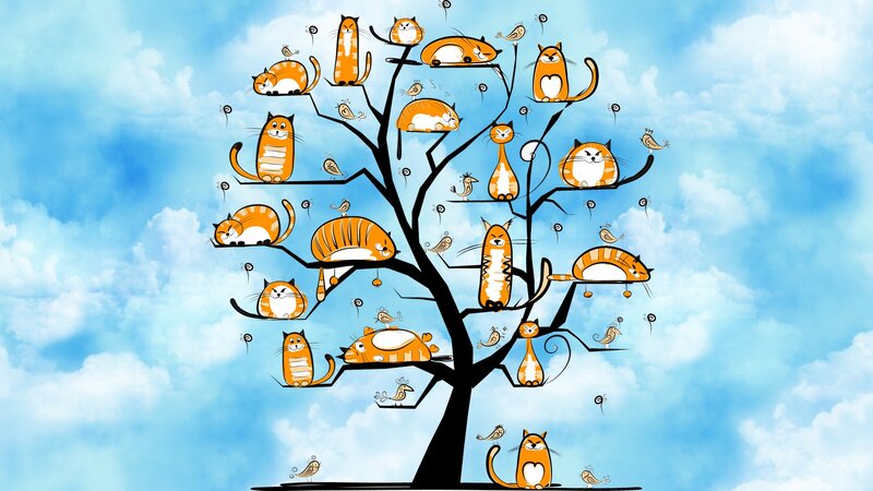 Cats on a Tree