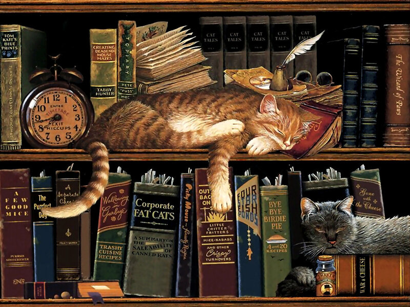 Cats on Bookshelf