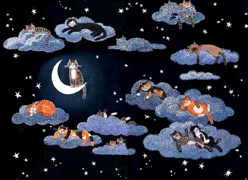 Cats on Clouds at Night