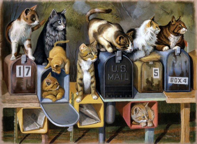 Cats on Mailboxes