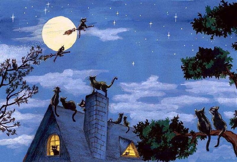 Cats on Rooftops — Blue
