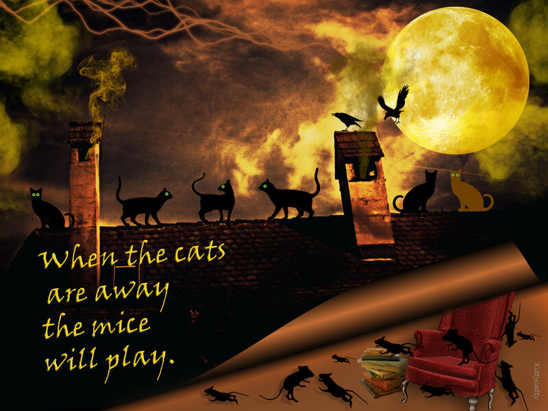 Cats on Rooftops — Yellow