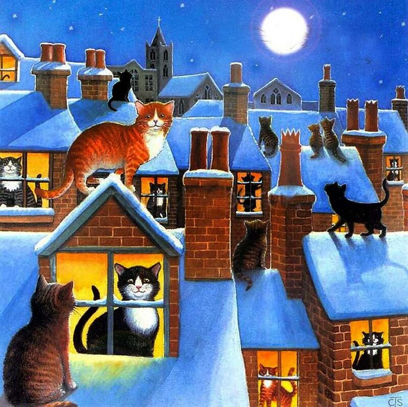 Cats on Snowy Rooftops
