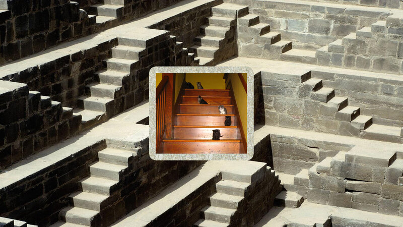 Cats on Stone Stairs