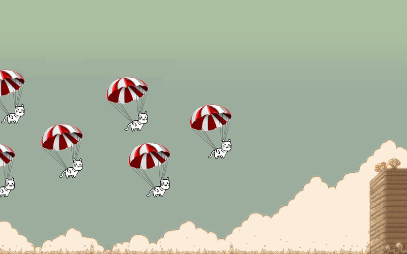 cats parachuting