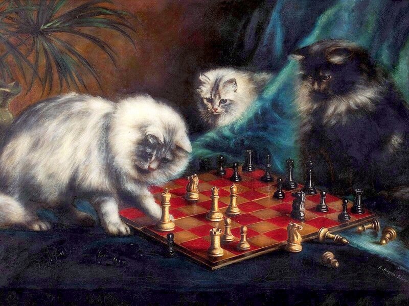 Cats Playing Chess