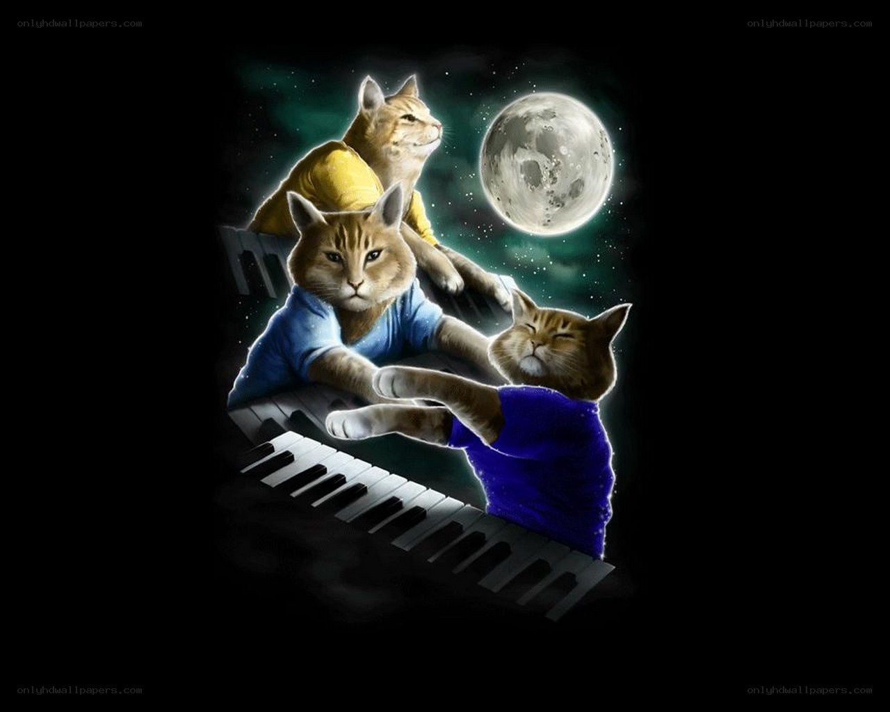cats playing piano under moon