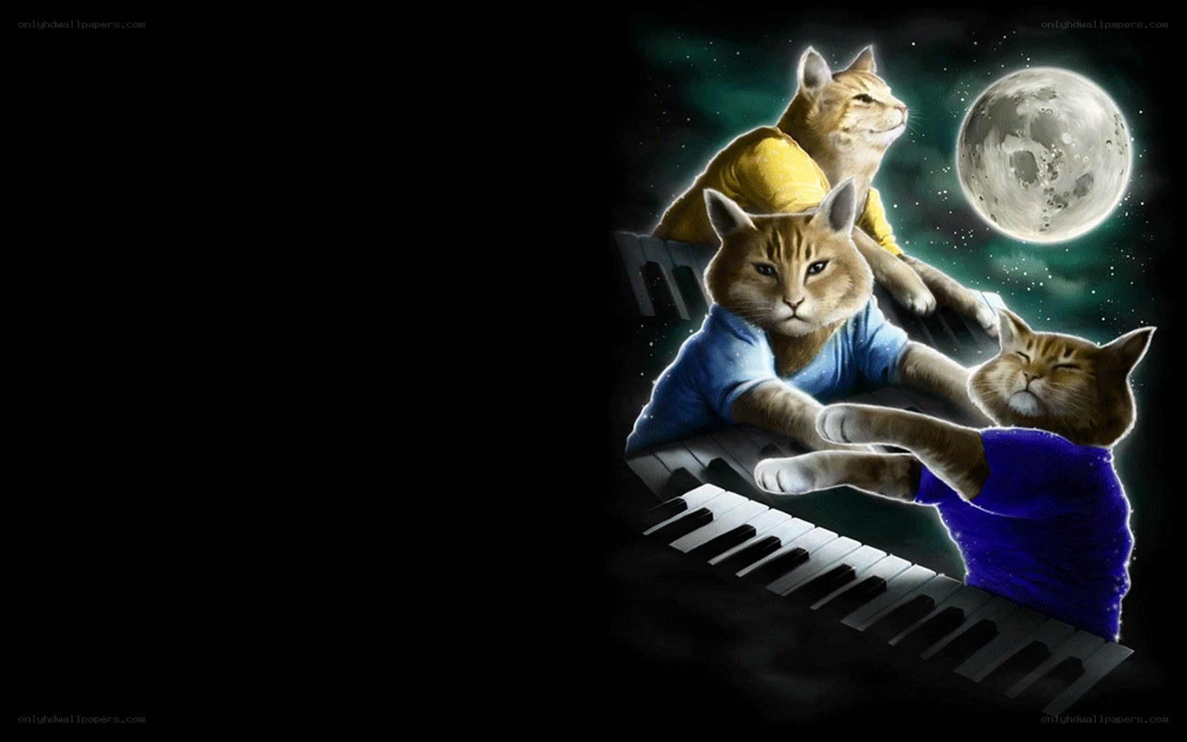 cats playing piano under moon