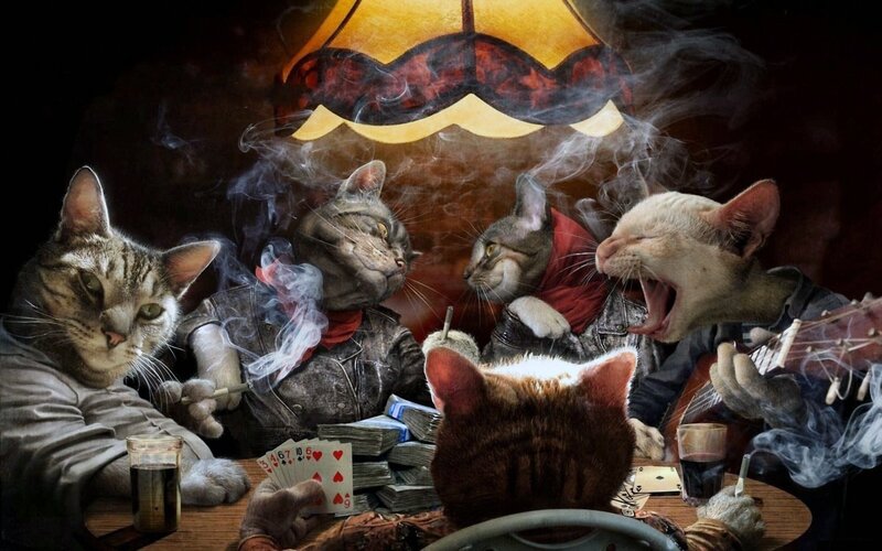 Cats Playing Poker — Brown, Dramatic, Night, Digital Art