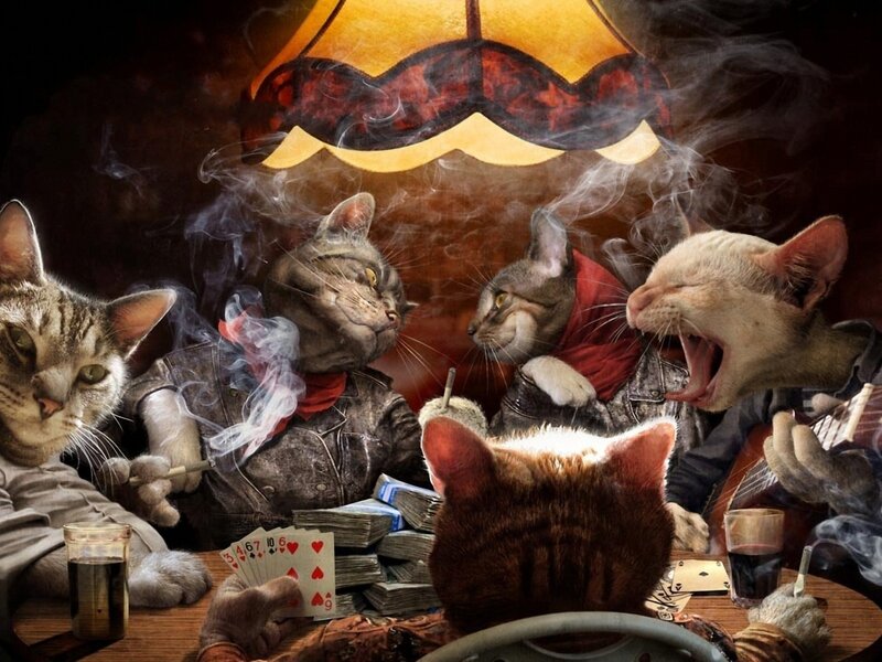 Cats Playing Poker — Brown, Dramatic, Night