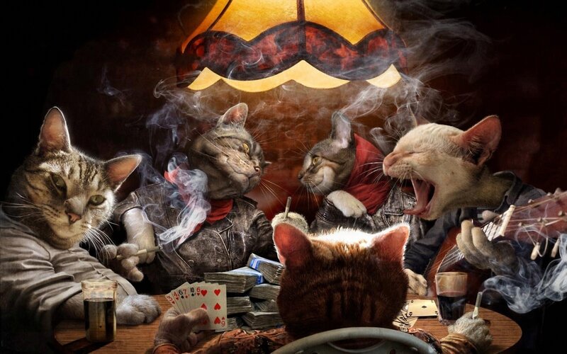 cats playing poker in a club
