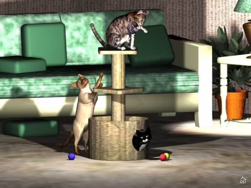Cats playing with a cat tree