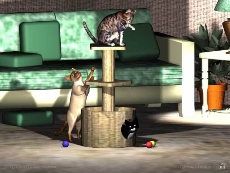 Cats playing with a cat tree