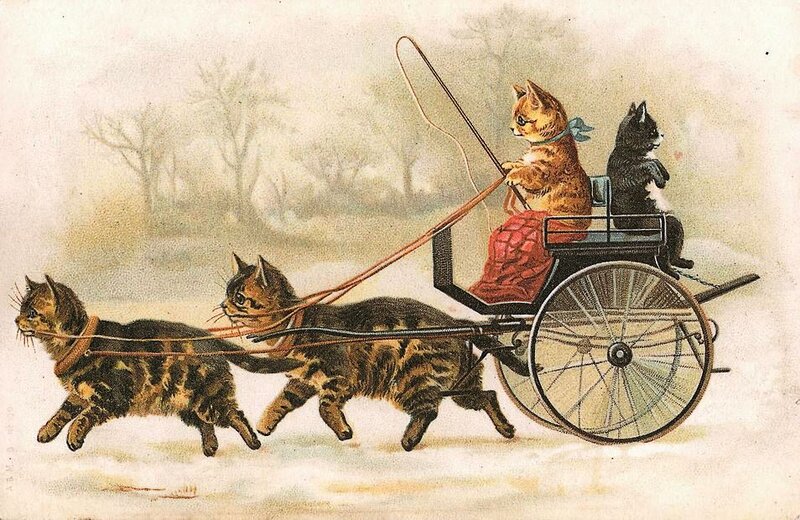 Cats Pulling a Carriage
