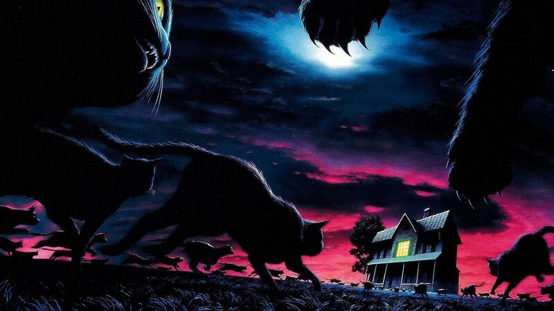 Cats Running at Night