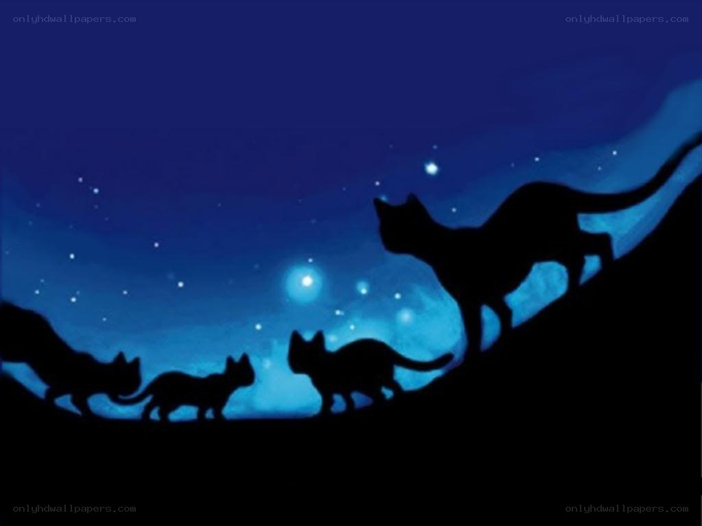 cats silhouetted against night sky