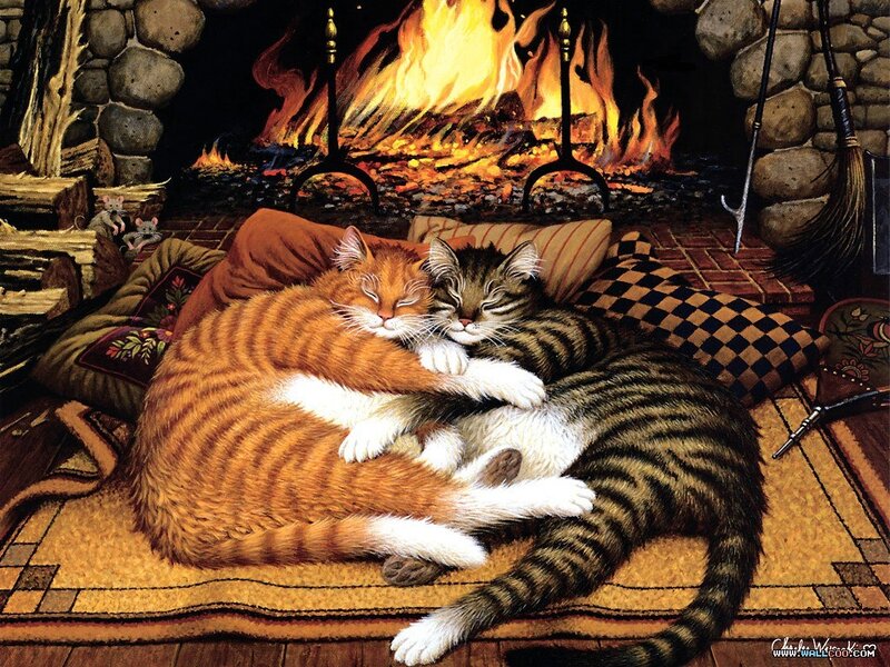 Cats sleeping by the fire