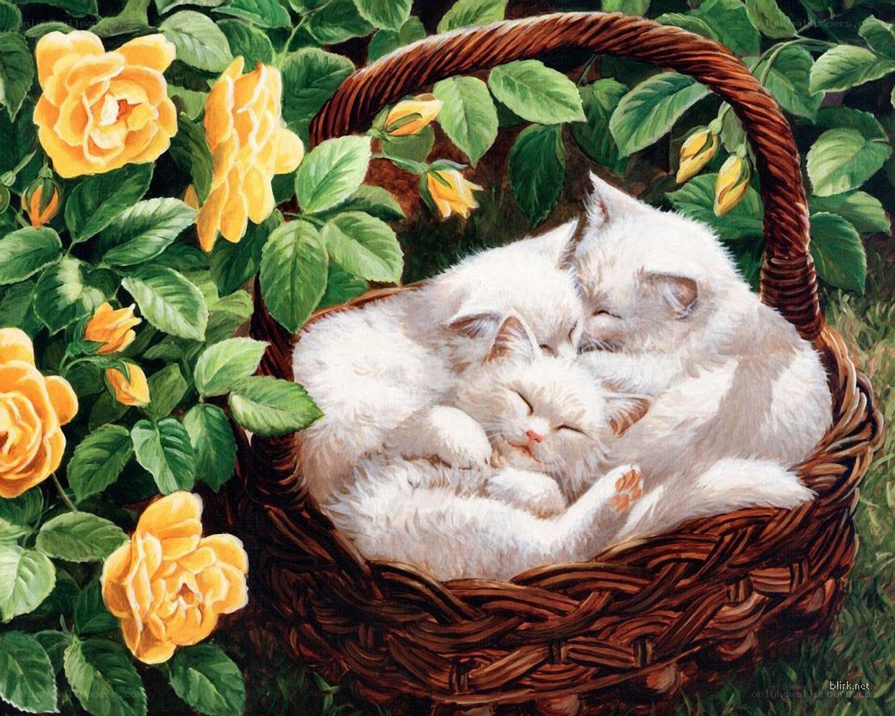 Cats sleeping in a basket