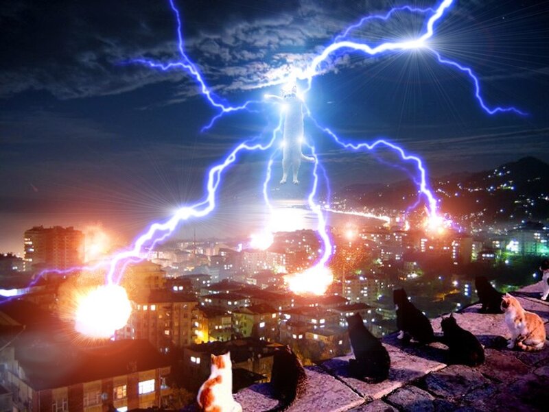 Cats summoning lightning storm