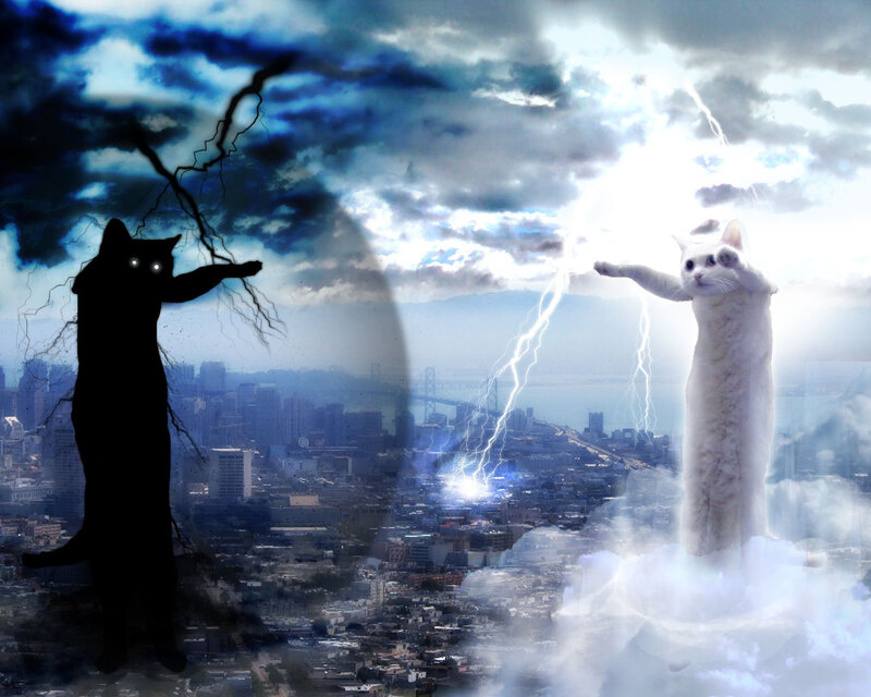 cats summoning lightning