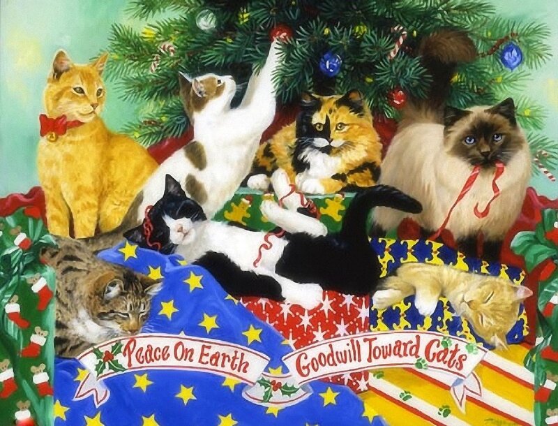 Cats under Christmas Tree