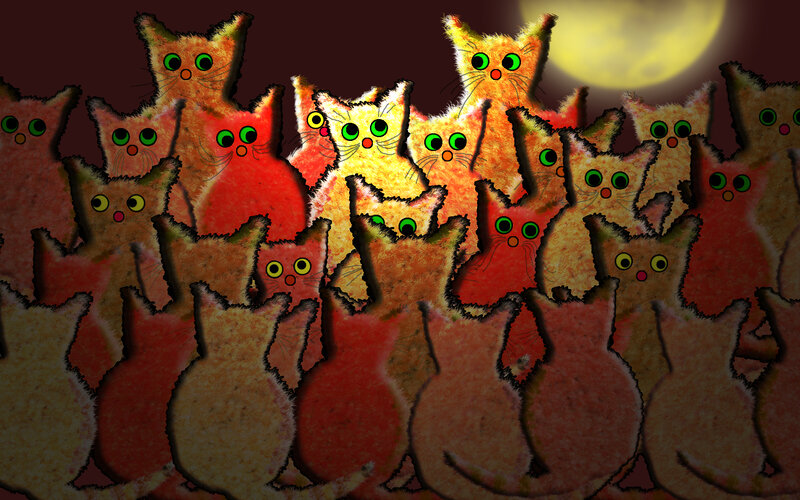 Cats under Moonlight
