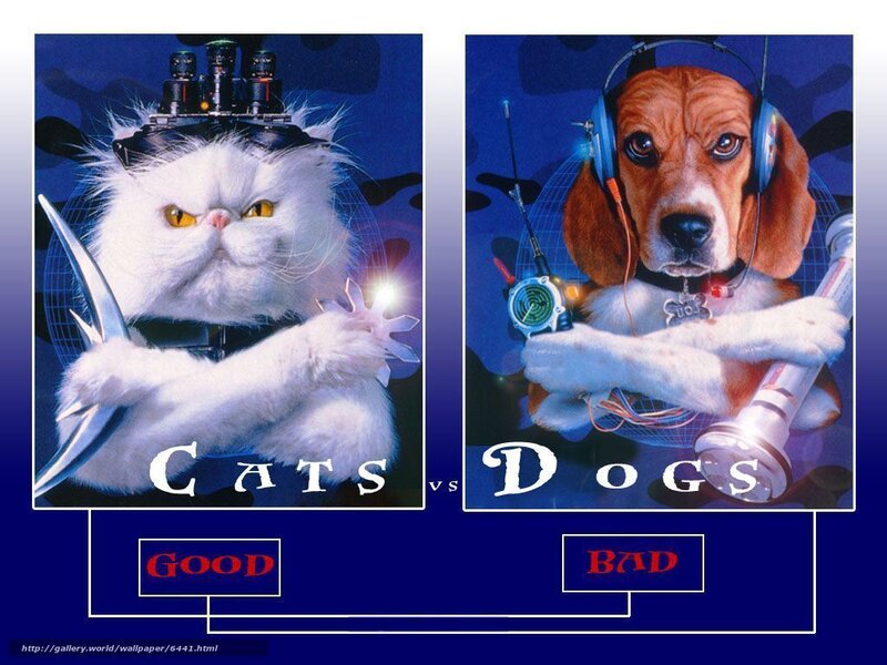 Cats vs Dogs artwork