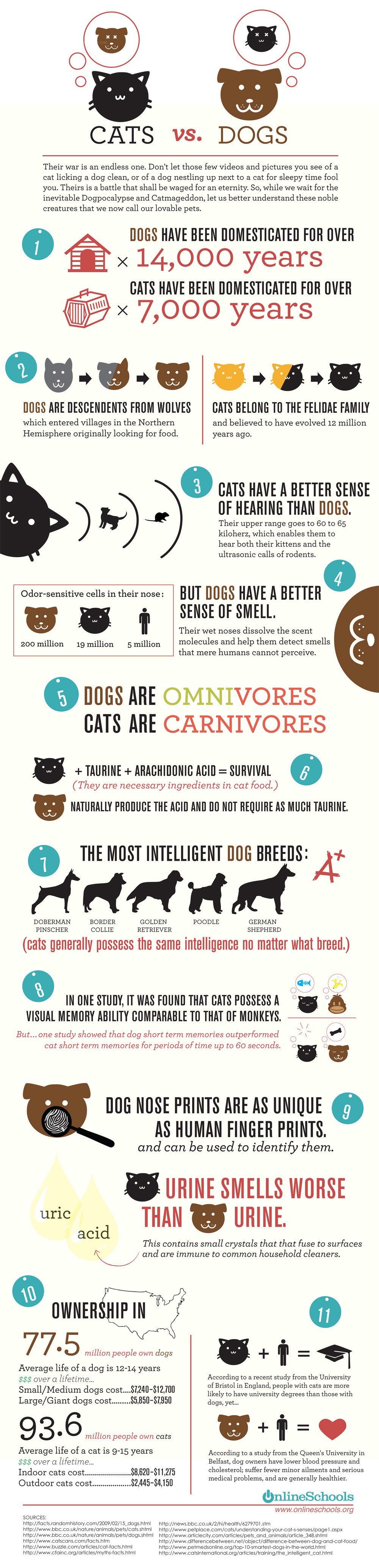 Cats vs Dogs Infographic