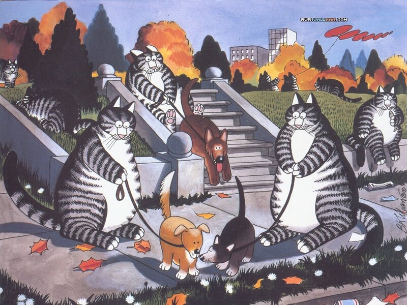 Cats walking dogs in park