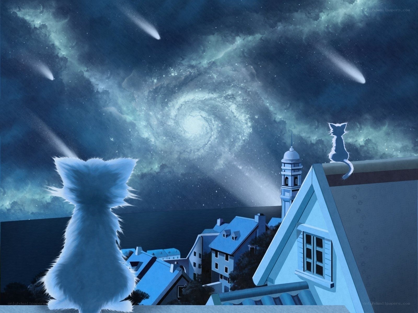Cats watching a galaxy