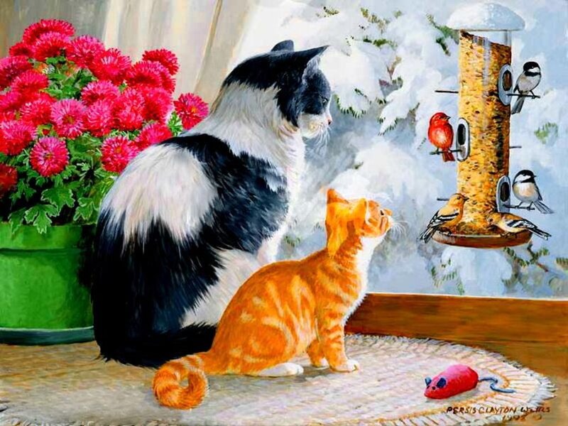 Cats Watching Birds — Orange