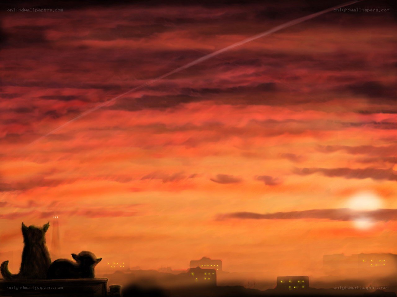 Cats watching sunset