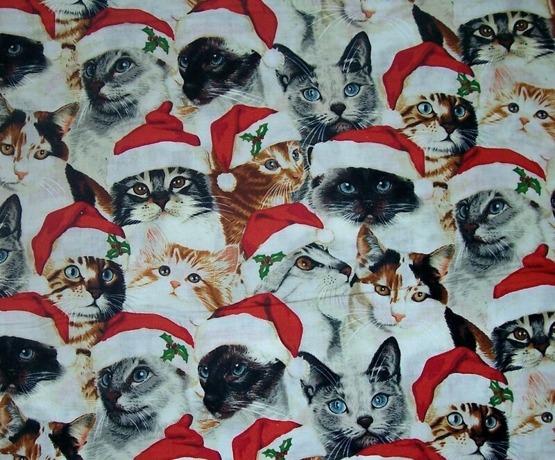 Cats Wearing Santa Hats