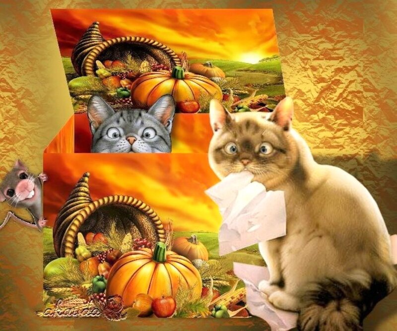 Cats with Cornucopia